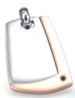 Přívěsek chirurgická ocel PSCL55