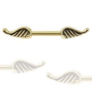 Piercing do bradavky chirurgická ocel křídla HWKR12779