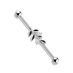 Industrial piercing - list