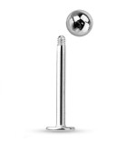 Piercing do brady - labreta (1,6 x 14 x 4 mm)