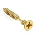 Falešný piercing do ucha - šroub (zlatá)