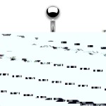 Piercing do brady černý (1,2 x 6 mm)