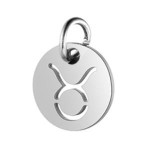Drobný kulatý ocelový přívěsek - znamení horoskopu (štír)