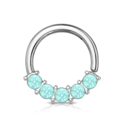 Piercing kruh s kameny 1,0 x 10 mm (fialová)