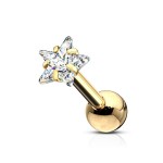 Zlacený cartilage piercing do ucha, hvězda (4 mm)