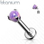 Piercing do brady - labreta titan (bílá)