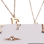 Zlacený ocelový řetízek s přívěškem iniciála ”D”