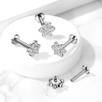 Piercing do brady / cartilage / tragus, kytička (1,2 x 6 mm)