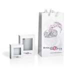 Stříbrné náušnice pecka se zirkonem bílé srdce 11065.1