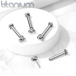 Piercing do brady - labreta titan (1,2 x 6 mm)