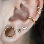 Segment kruh - helix / cartilage / tragus piercing (1,2 x 10 mm)