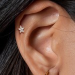 Labreta / cartilage piercing - kytička (1,2 x 6 mm) [4]