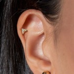 Labreta / cartilage piercing - šipka (1,2 x 8 mm) [4]