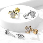 Piercing do brady - želvička (1,2 x 8 mm)