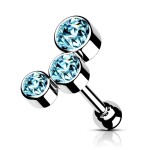 Cartilage /  helix / tragus piercing (černá)