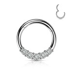 Segment kruh se zirkony, septum piercing 1,2 x 8 mm [2]