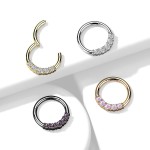 Segment kruh se zirkony, septum piercing 1,2 x 8 mm [3]