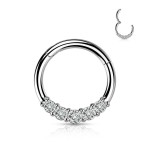 Segment kruh se zirkony, septum piercing 1,2 x 8 mm [0]