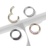 Černý segment kruh se zirkony, septum piercing 1,2 x 8 mm