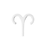 Navlékací ocelový korálek - znamení horoskopu (ryby)