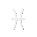 Navlékací ocelový korálek - znamení horoskopu (kozoroh)