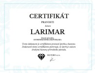 Stříbrné visací náušnice s larimarem