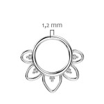 Piercing septum / helix / cartilage TITAN