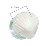 Skleněný plug do ucha lastura (10 mm)