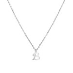 Ocelový náhrdelník, písmeno N