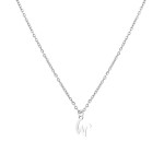 Ocelový náhrdelník, písmeno N