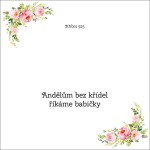 Andělům bez křídel říkáme babičky - OB08