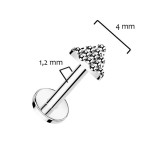 Piercing do brady - labreta TITAN (1,2 x 6 mm) [4]