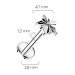 Piercing do brady - labreta TITAN (1,2 x 8 mm)