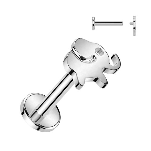 Piercing do brady slon - TITAN (1,2 x 6 mm)