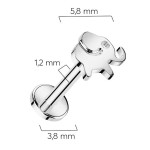 Piercing do brady slon - TITAN (1,2 x 8 mm)