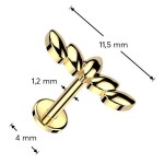 Piercing do brady labreta / cartilge (1,2 x 6 mm)