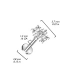 Piercing do brady / ucha TITAN vločka (1,2 x 6 mm) [1]