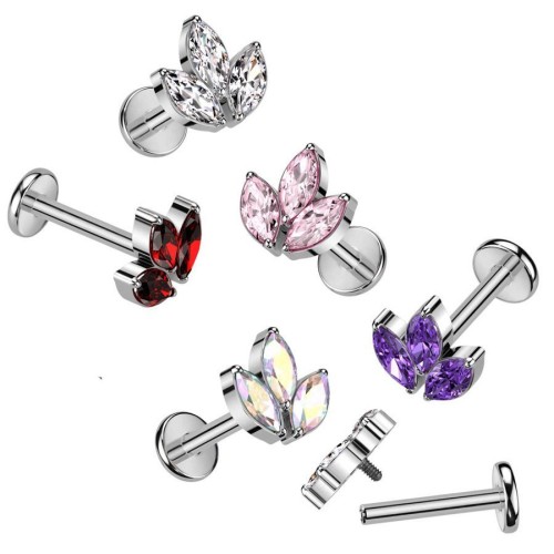 Piercing do brady - labreta TITAN (duhová)