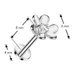 Piercing do brady kytička - PUSH IN labreta