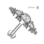 Piercing do brady / ucha TITAN (čirá 1,2 x 8 mm)