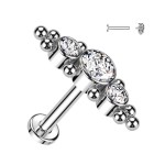 Piercing do brady / ucha TITAN (vitrail medium 1,2 x 8 mm)