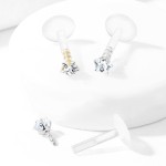 BioFlex piercing do brady hvězdička (1,2 x 6 mm)