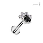 Piercing do brady - labreta TITAN (1,2 x 6 mm)