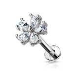 Piercing do brady - labreta kytička (1,2 x 6 mm)