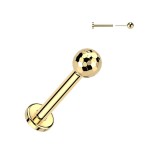 Piercing do brady - PUSH IN labreta TITAN (černá)