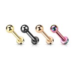 Duhový piercing do brady TITAN (1,2 x 6 mm)