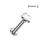 Piercing do brady labreta TITAN 1,2 x 6 mm
