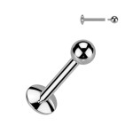 Piercing do brady - labreta titan (1,2 x 12 mm)