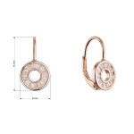 Pozlacené stříbrné náušnice kroužek ananas 11719.1 rose gold