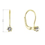Pozlacené visací náušnice se Swarovski krystalem 31322.1